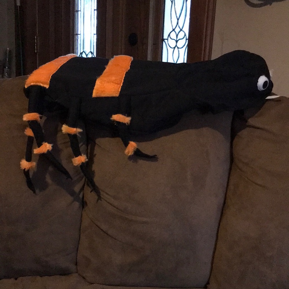 Dog Halloween costume